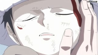 ワンピースアニメ ドレスローザ編 705話 トラファルガー・ロー 幼少期 CV.神谷浩史 Trafalgar Law | ONE PIECE Episode 705