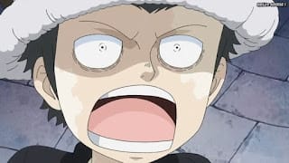 ワンピースアニメ ドレスローザ編 703話 トラファルガー・ロー 幼少期 かわいい CV.神谷浩史 Trafalgar Law | ONE PIECE Episode 703