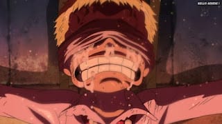 ワンピースアニメ ドレスローザ編 703話 ドフラミンゴ ドフィ 幼少期 天竜人 DonQuixote Doflamingo | ONE PIECE Episode 703