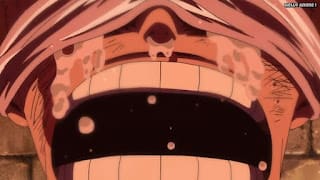 ワンピースアニメ ドレスローザ編 703話 ドフラミンゴ ドフィ 幼少期 天竜人 DonQuixote Doflamingo | ONE PIECE Episode 703