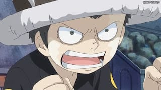 ワンピースアニメ ドレスローザ編 703話 トラファルガー・ロー 幼少期 かわいい CV.神谷浩史 Trafalgar Law | ONE PIECE Episode 703