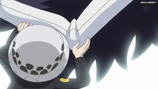 ワンピースアニメ ドレスローザ編 703話 トラファルガー・ロー 幼少期 かわいい CV.神谷浩史 Trafalgar Law | ONE PIECE Episode 703