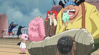 ワンピースアニメ ドレスローザ編 703話 デリカシー バッファロー 幼少期 | ONE PIECE Episode 703