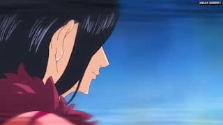 ワンピースアニメ パンクハザード編 591話 ロビン チョッパーフランキー | ONE PIECE Episode 591