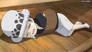 ワンピースアニメ ドレスローザ編 703話 トラファルガー・ロー 幼少期 かわいい CV.神谷浩史 Trafalgar Law | ONE PIECE Episode 703
