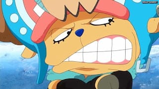 ワンピースアニメ パンクハザード編 591話 チョッパーフランキー chopper franky face | ONE PIECE Episode 591