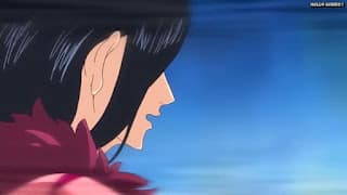 ワンピースアニメ パンクハザード編 591話 ロビン チョッパーフランキー | ONE PIECE Episode 591