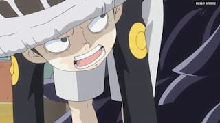 ワンピースアニメ ドレスローザ編 703話 トラファルガー・ロー 幼少期 かわいい CV.神谷浩史 Trafalgar Law | ONE PIECE Episode 703