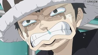 ワンピースアニメ ドレスローザ編 703話 トラファルガー・ロー 幼少期 かわいい CV.神谷浩史 Trafalgar Law | ONE PIECE Episode 703