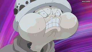 ワンピースアニメ ドレスローザ編 705話 トラファルガー・ロー 幼少期 オペオペの実 Trafalgar Law | ONE PIECE Episode 705