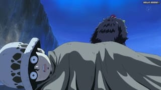 ワンピースアニメ ドレスローザ編 703話 トラファルガー・ロー 幼少期 かわいい CV.神谷浩史 Trafalgar Law | ONE PIECE Episode 703