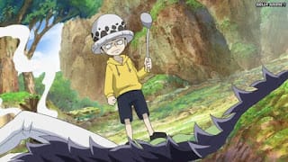 ワンピースアニメ ドレスローザ編 703話 トラファルガー・ロー 幼少期 かわいい CV.神谷浩史 Trafalgar Law | ONE PIECE Episode 703