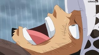 ワンピースアニメ ドレスローザ編 708話 トラファルガー・ロー 右腕 切断 トラ男 Trafalgar Law | ONE PIECE Episode 708