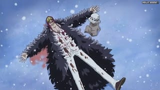 ワンピースアニメ ドレスローザ編 705話 コラソン ロシナンテ Rosinante | ONE PIECE Episode 705