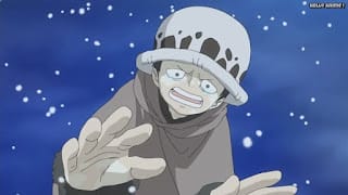 ワンピースアニメ ドレスローザ編 705話 トラファルガー・ロー 幼少期 CV.神谷浩史 Trafalgar Law | ONE PIECE Episode 705