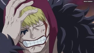 ワンピースアニメ ドレスローザ編 705話 コラソン ロシナンテ Rosinante | ONE PIECE Episode 705