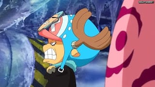 ワンピースアニメ パンクハザード編 591話 チョッパーフランキー chopper franky face | ONE PIECE Episode 591