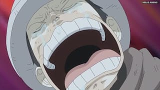 ワンピースアニメ ドレスローザ編 705話 トラファルガー・ロー 幼少期 CV.神谷浩史 Trafalgar Law | ONE PIECE Episode 705