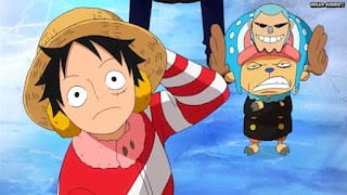 ワンピースアニメ パンクハザード編 591話 チョッパーフランキー chopper franky face | ONE PIECE Episode 591