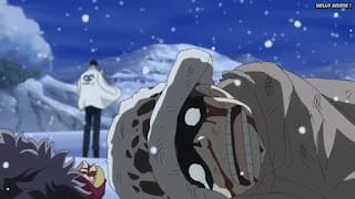 ワンピースアニメ ドレスローザ編 705話 トラファルガー・ロー 幼少期 CV.神谷浩史 Trafalgar Law | ONE PIECE Episode 705