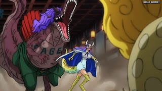 ワンピースアニメ 1019話 ページワン うるティ | ONE PIECE Episode 1019