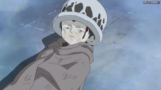 ワンピースアニメ ドレスローザ編 705話 トラファルガー・ロー 幼少期 CV.神谷浩史 Trafalgar Law | ONE PIECE Episode 705