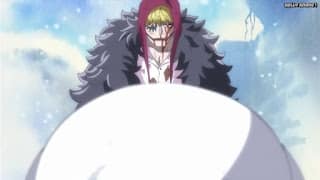ワンピースアニメ ドレスローザ編 705話 コラソン ロシナンテ Rosinante | ONE PIECE Episode 705