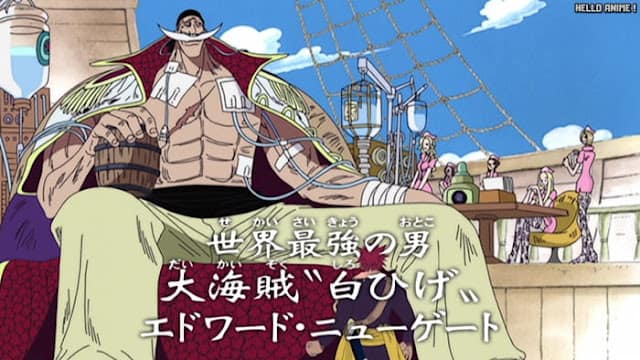 ワンピース 第76巻 SBSまとめ 白ひげ海賊団 女 ONE PIECE Volume 76