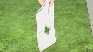 名探偵コナン アニメ 第1012話 山菜狩りとクローバー | Detective Conan Episode 1012