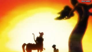 ワンピースアニメ 1019話 | ONE PIECE Episode 1019