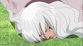 ワンピース アニメ 巨人族 総集編 ネタバレ 感想 ONE PIECE Giants